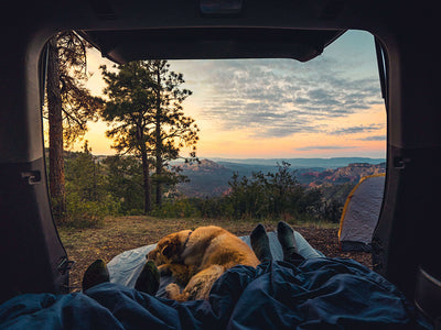 The Car Camping Kitchen Essentials Checklist You Need This Summer