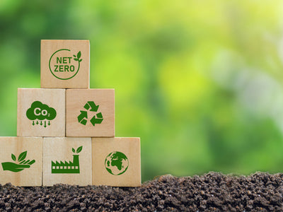 The Truth About Carbon Offsets: Greenwashing vs. Genuine Impact