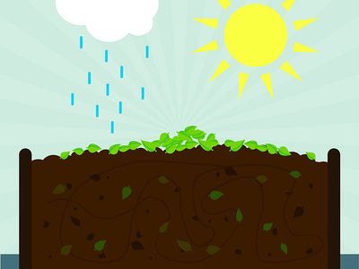 Helpful Tips About Composting