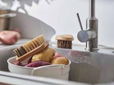 Patience Pays Off: How We Spent Two Years Engineering Eco-Friendly Cleaning Tools