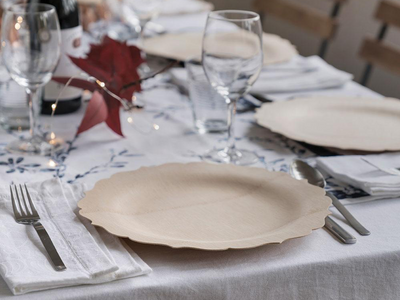 Customer Favorite - Fancy Disposable Plates for the Holidays