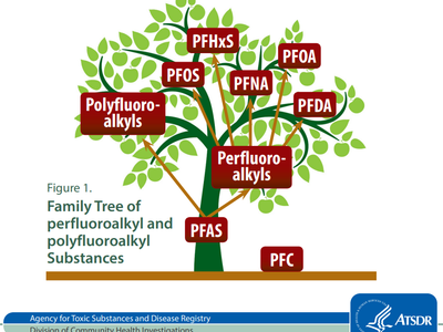 Living PFAS-Free: 8 Tips for a Healthier Home and Body