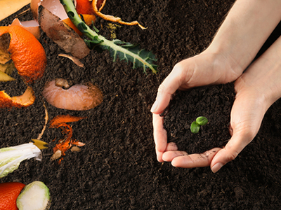 What Does Compostable Mean? It's Not As Simple As You Think