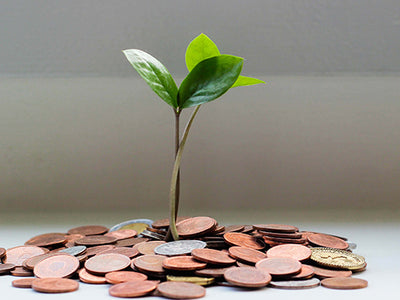 10 Simple Tips For Saving Money And Living Sustainably