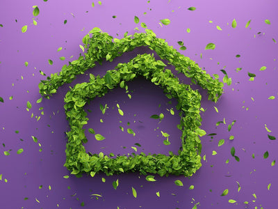 How To Create A Sustainable Home: Start With These 7 Things