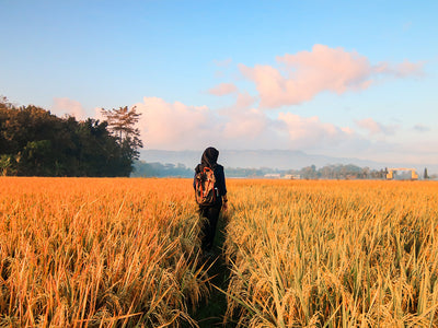 The Eco-Conscious Traveler's Handbook: Sustainable Travel 101