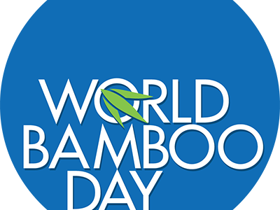 In Honor of World Bamboo Day: 18 Little-Known Facts About Bamboo