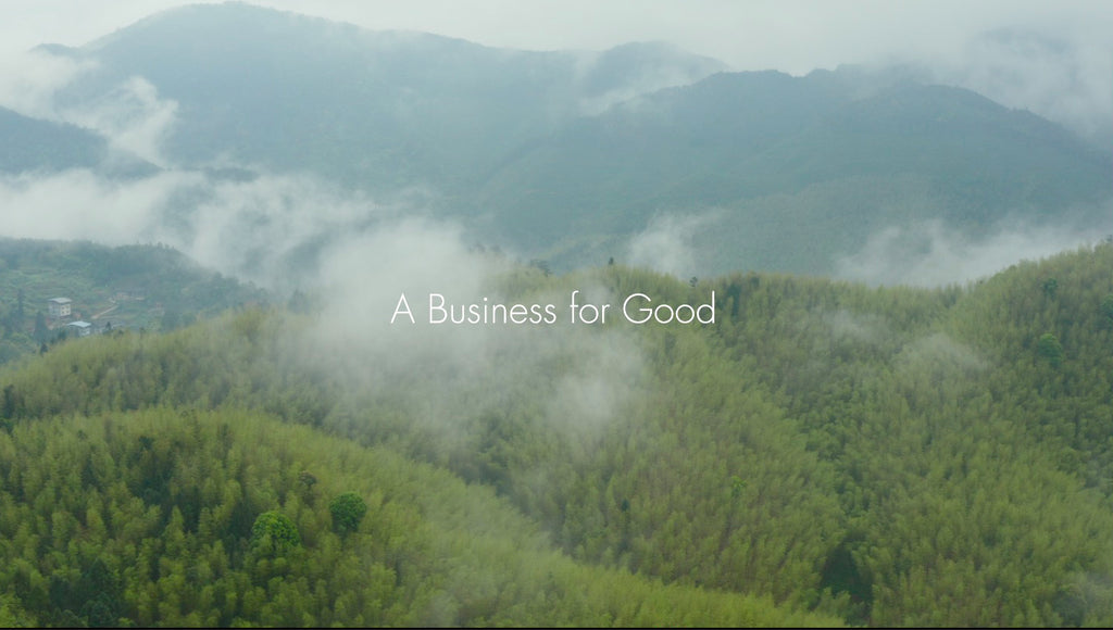 The bambu Story - a film for small business, entrepreneurs and all people