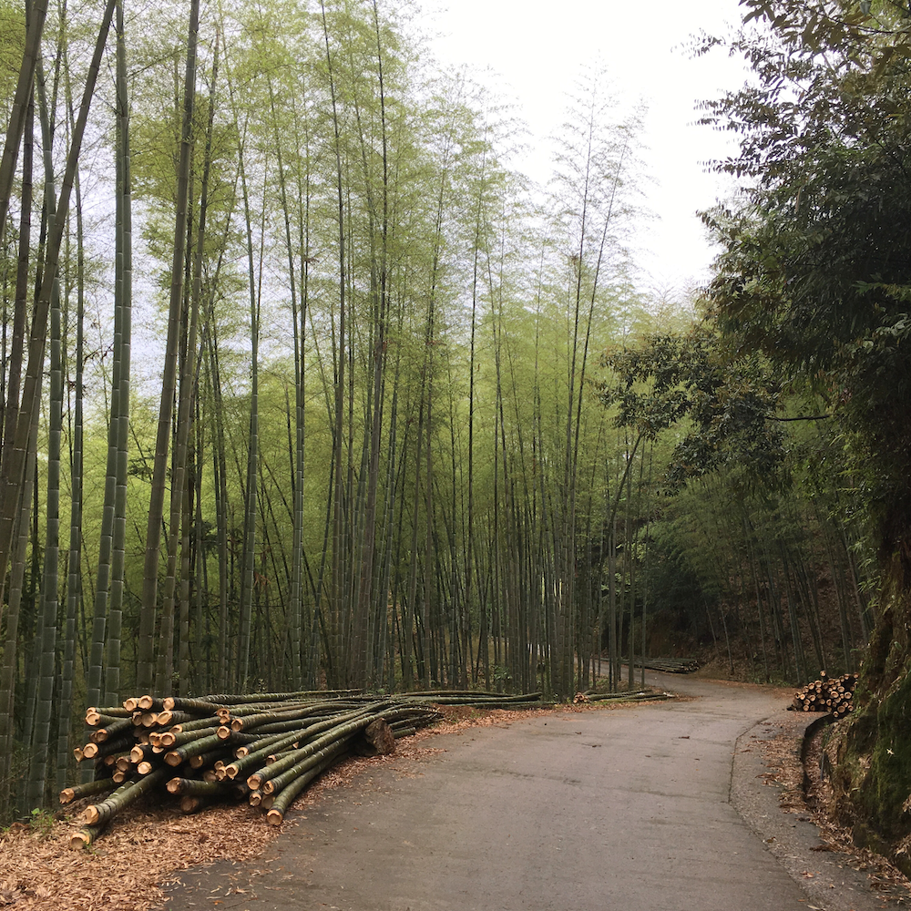 Bambu® Founders Speak Out on Tariff Impacts and the Growing Cost of Trade Uncertainty for Small Sustainable Businesses