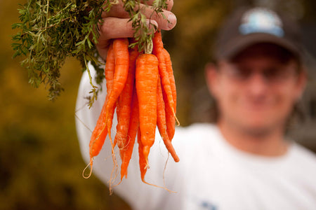 The Food Waste Problem: How to Reduce Food Waste at Home, School, and the Office