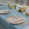 A blue checkered tablecloth is set with 11" Veneerware Fancy Plates. Each place setting also has a set of Veneerware cutlery, a bamboo napkin, a water glass and a wine glass.