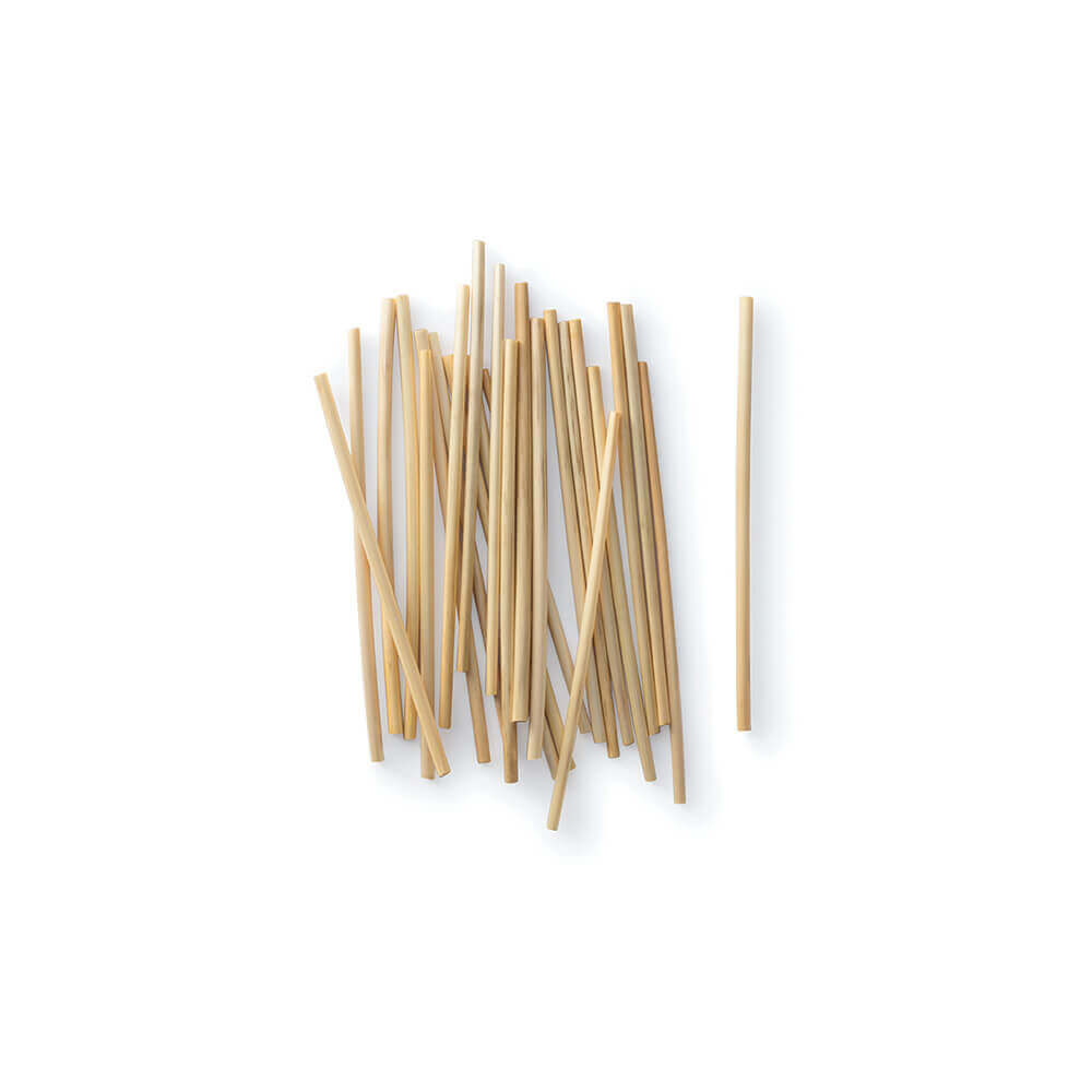 5-inch Biodegradable wheat straws